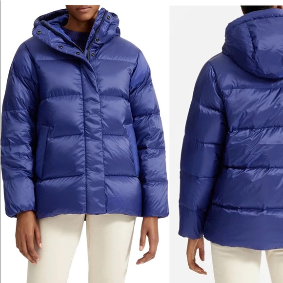 Everlane Jackets \u0026 Coats | Everlane Re Down Puffer Jacket - Womens Sz Medium - Cobalt Blue - New | Color: Blue | Size: M | Trendsetter10's Closet